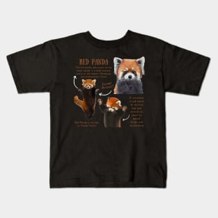 Animal Facts - Red Panda Kids T-Shirt